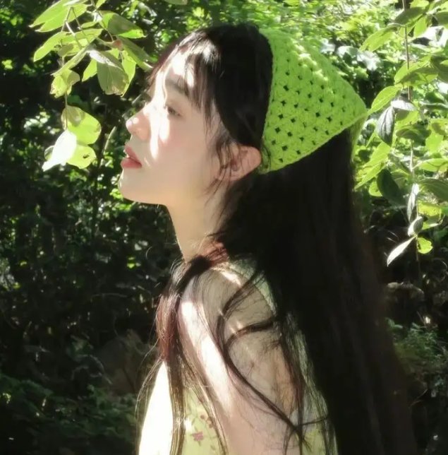 蒲公英的灰尘